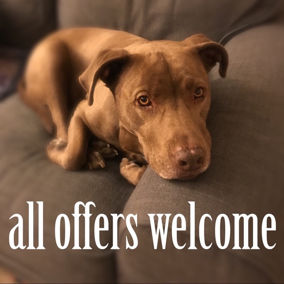 This is not my dog - Picture 1 of 2